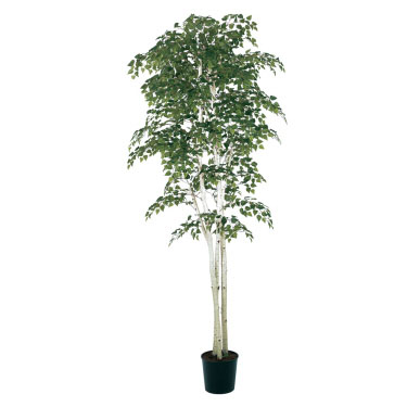 Birch 7' - Artificial Trees/Floor Plants - Artificial birch tree rental